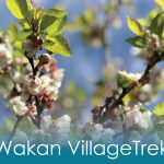 Wakan Village